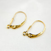 Gold Filled Drop Leverback with Ring